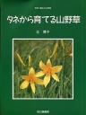 book_10063.jpg