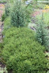 s5_11124.jpg